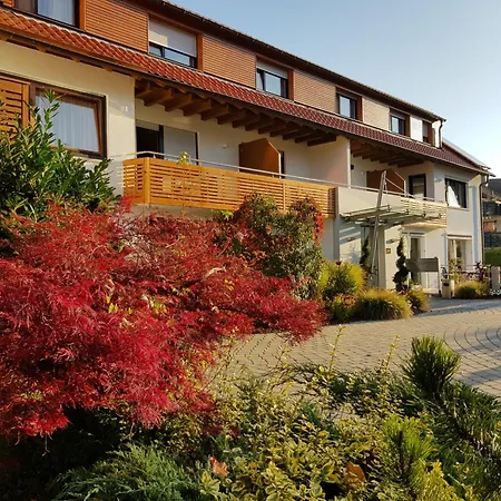 Sonnenhalde Hotel 3*